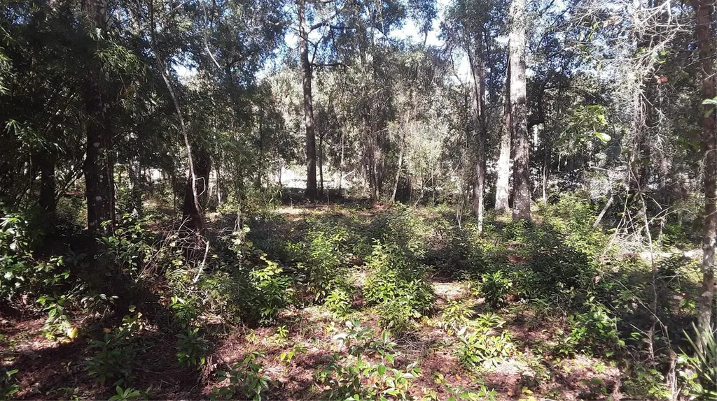 13231 Bissell Drive Punta Gorda FL 33955