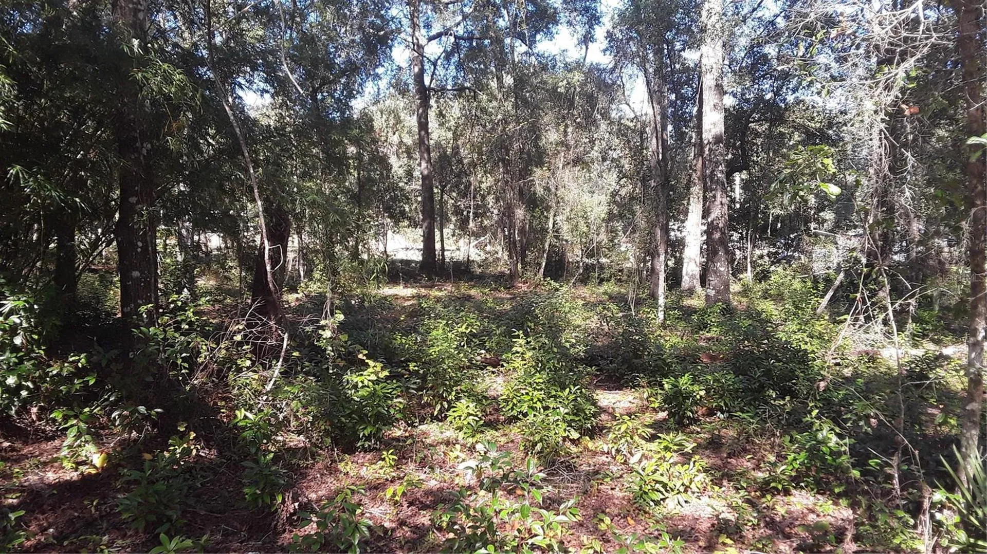 13231 Bissell Drive Punta Gorda FL 33955