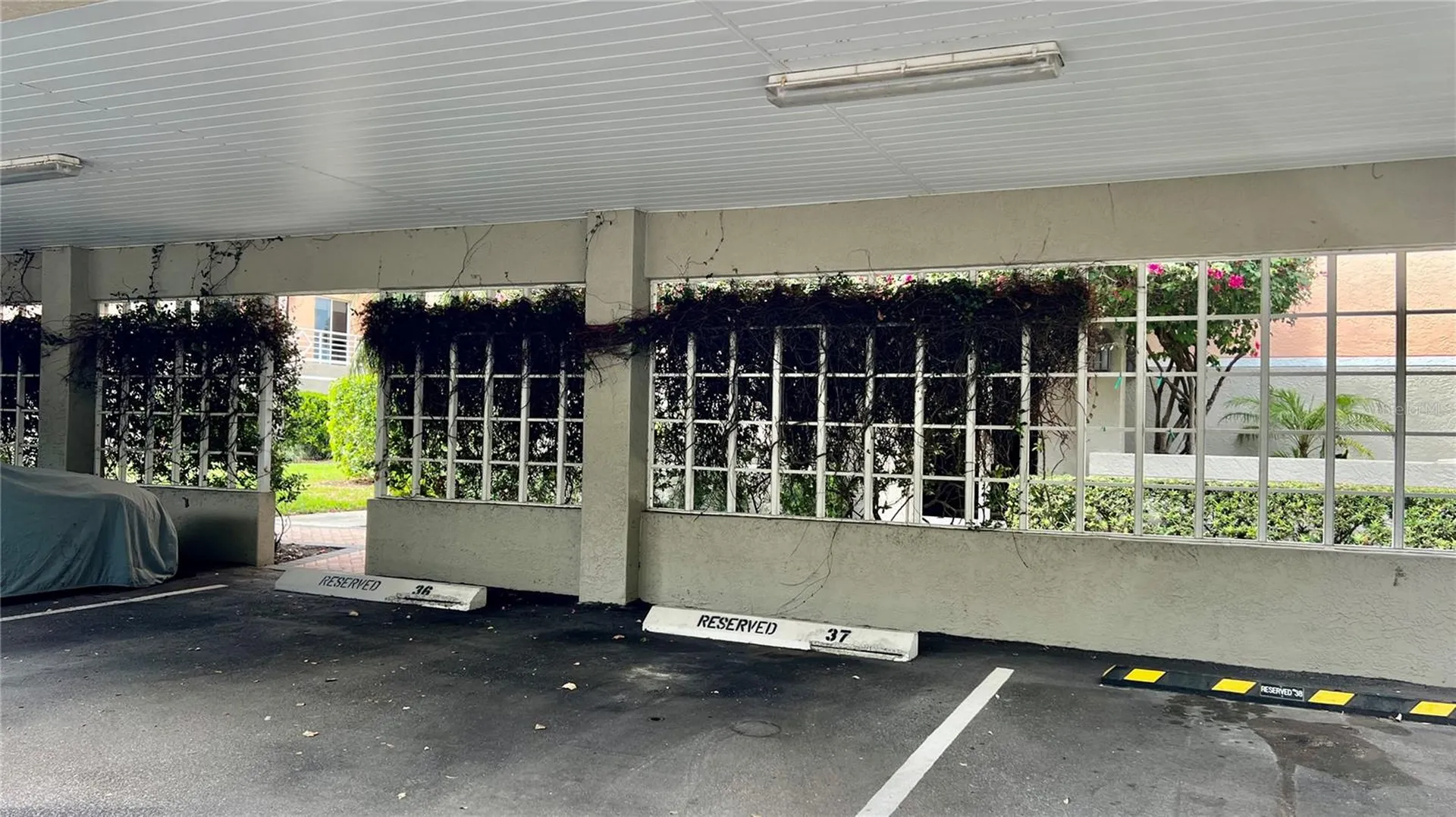 4981 Bacopa Lane S St Petersburg FL 33715
