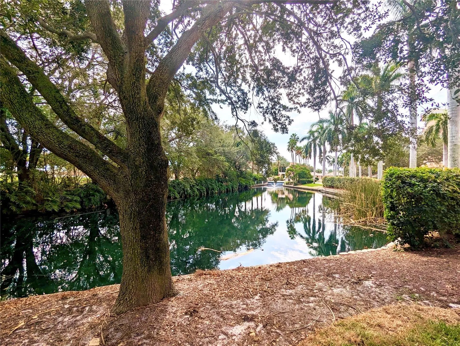 4981 Bacopa Lane S St Petersburg FL 33715