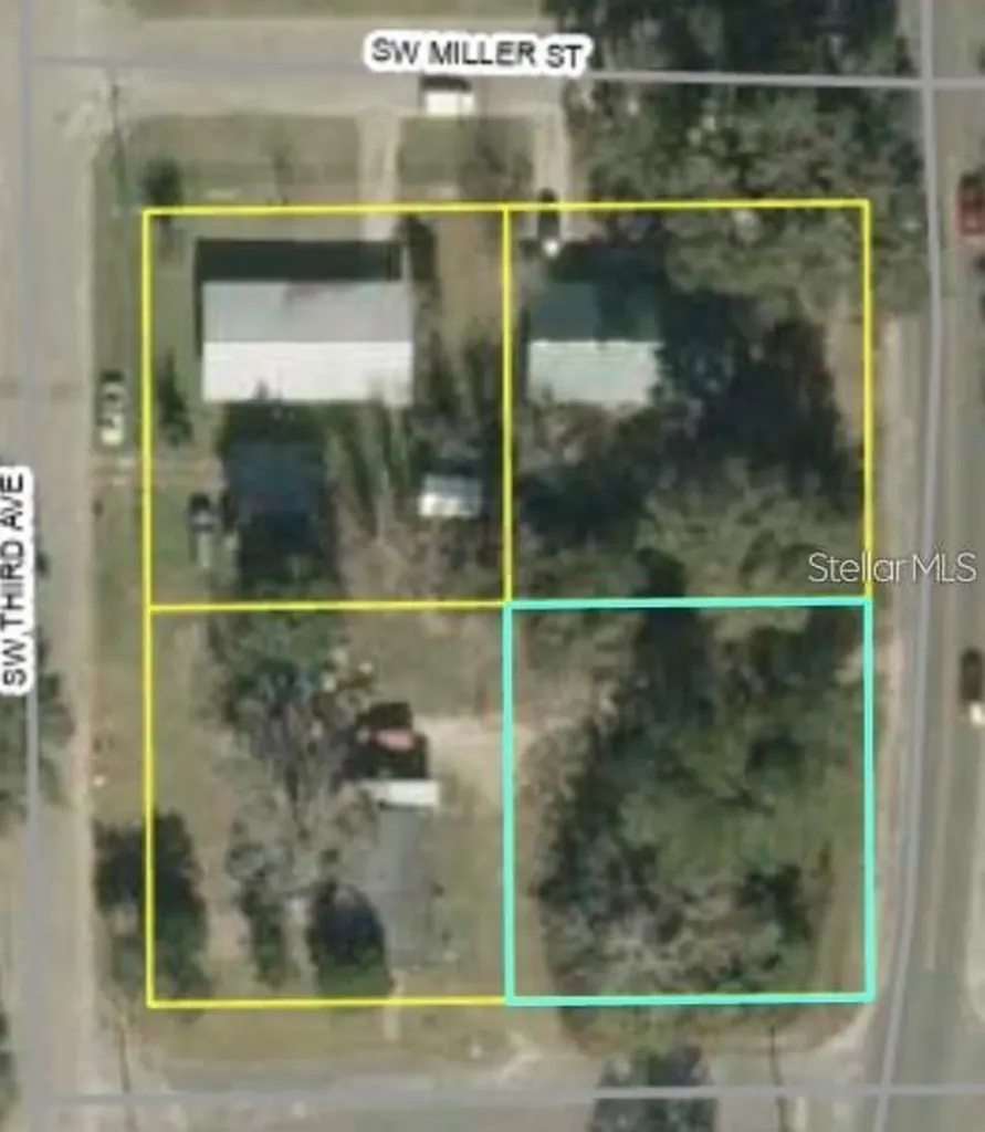 SW Mill King Jr Drive Madison FL 32340