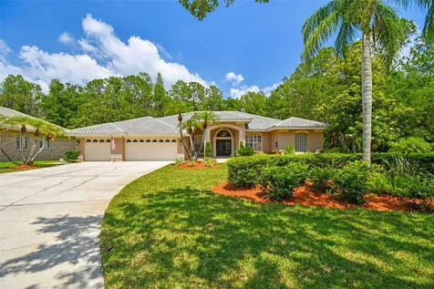 1877 Muirfield Way Oldsmar FL 34677