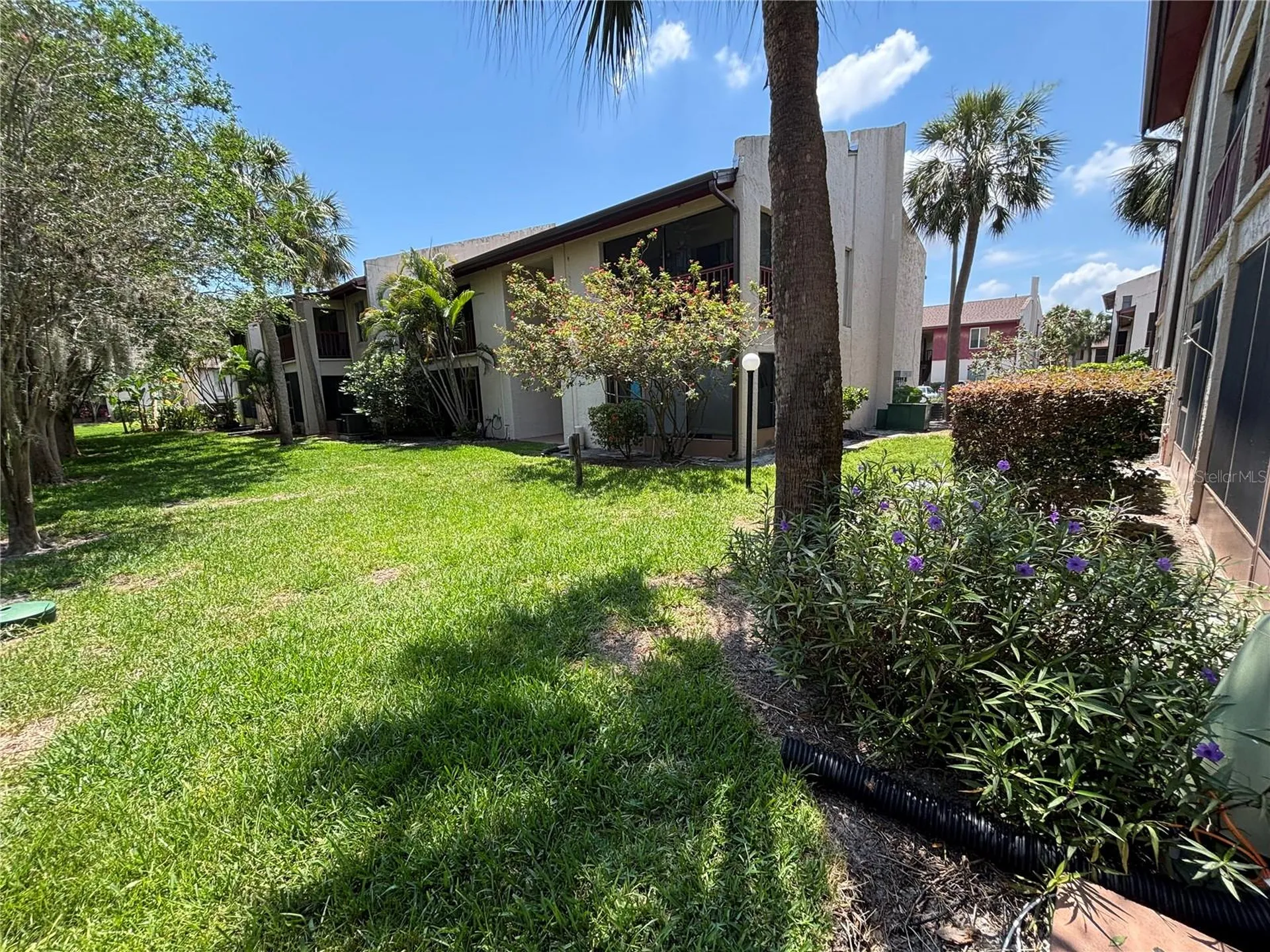 3814 N Lake Drive Tampa FL 33614