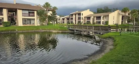 3814 N Lake Drive Tampa FL 33614