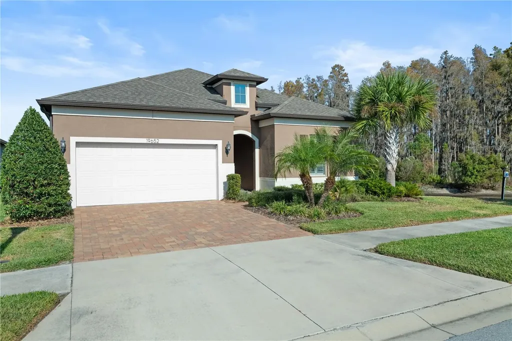 19652 Ship Wheel Way Land O Lakes FL 34638
