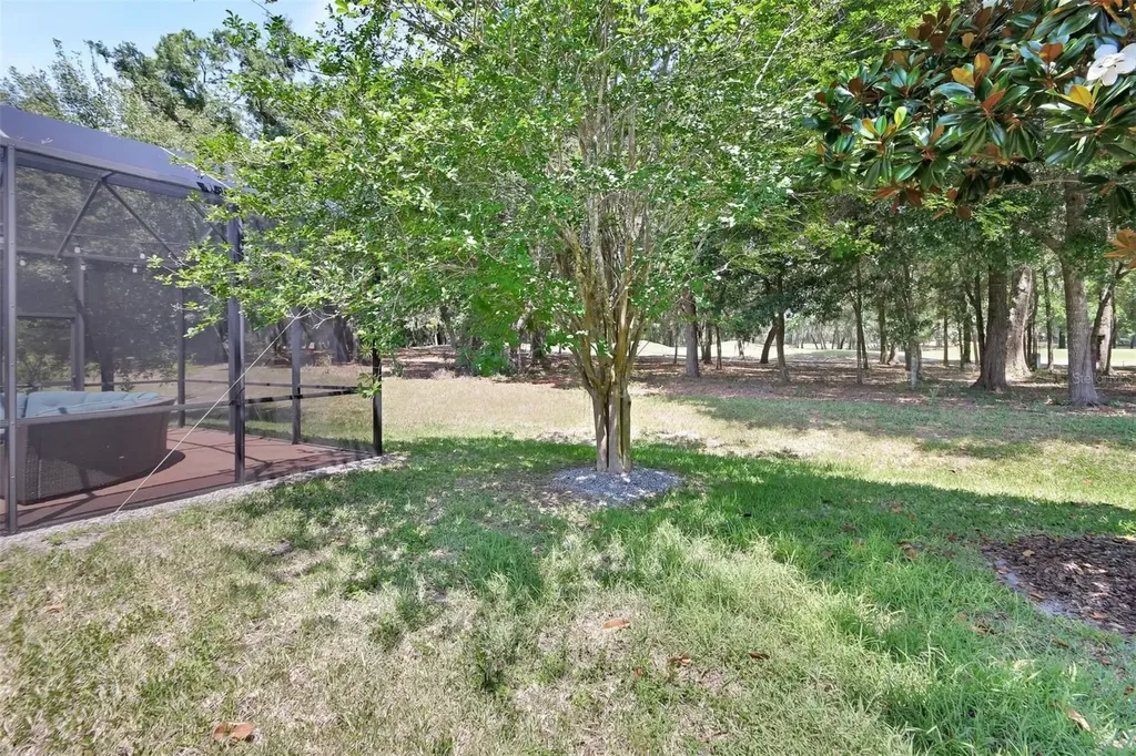 171 Birchmont Drive Deland FL 32724