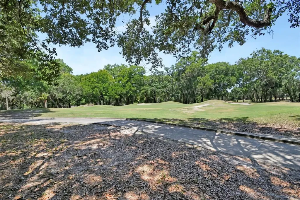 171 Birchmont Drive Deland FL 32724