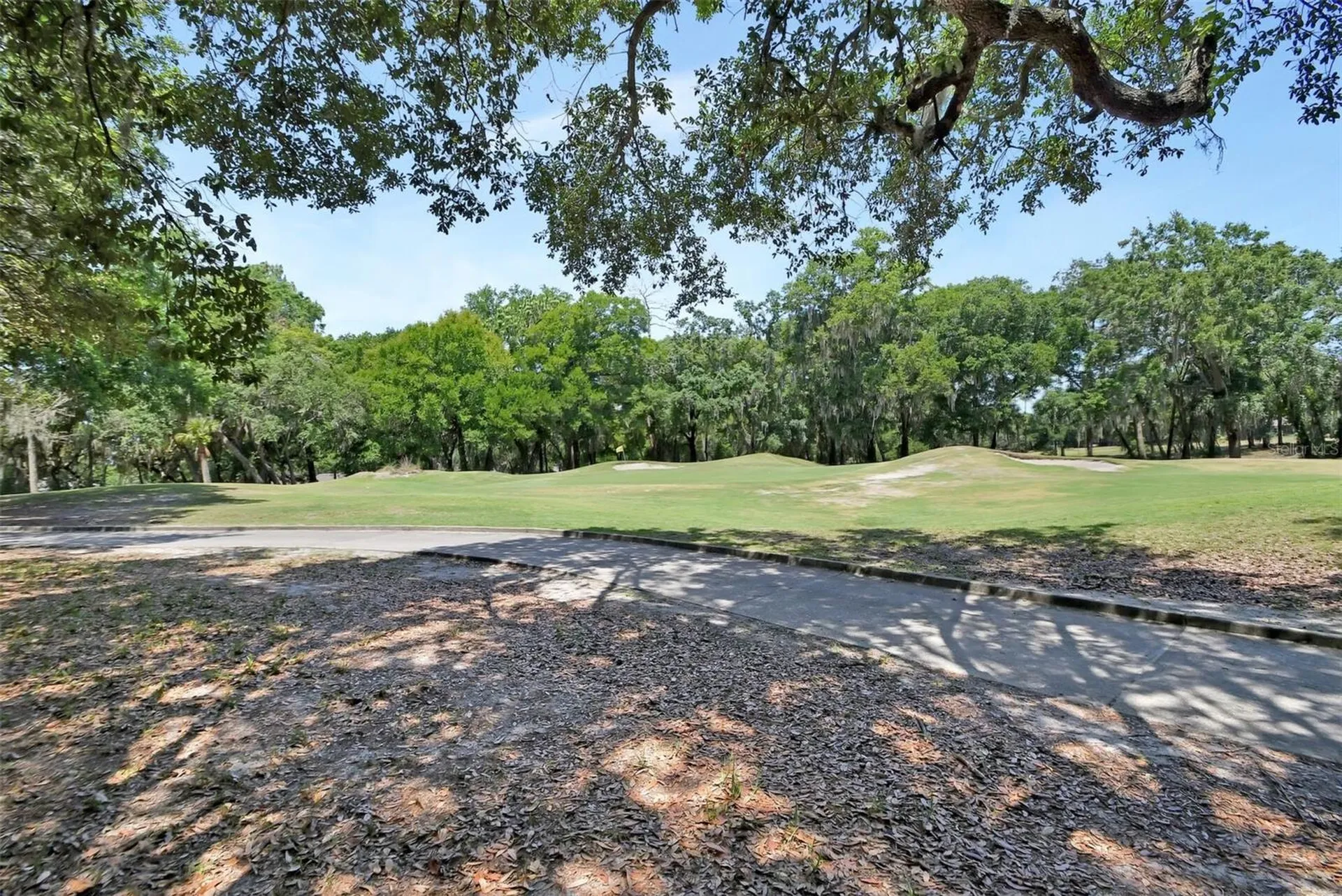 171 Birchmont Drive Deland FL 32724
