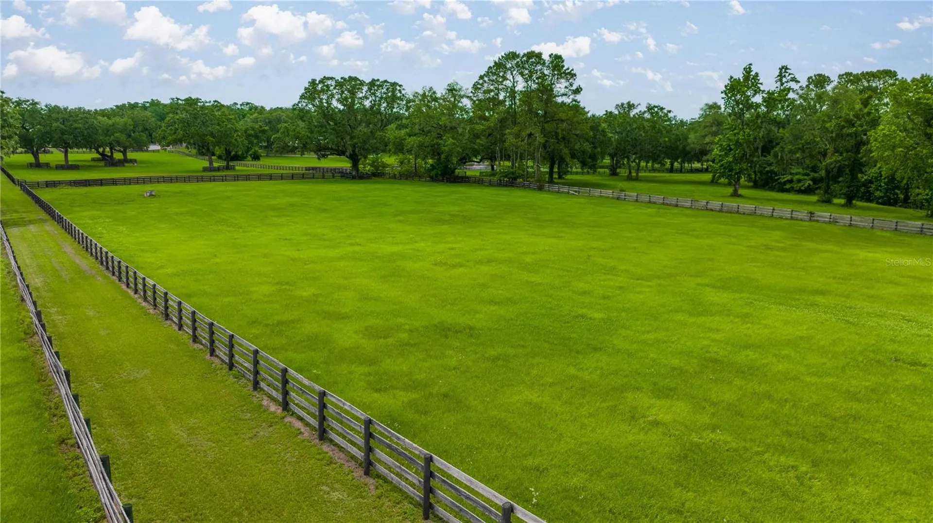 4209 NW 110th Avenue Ocala FL 34482
