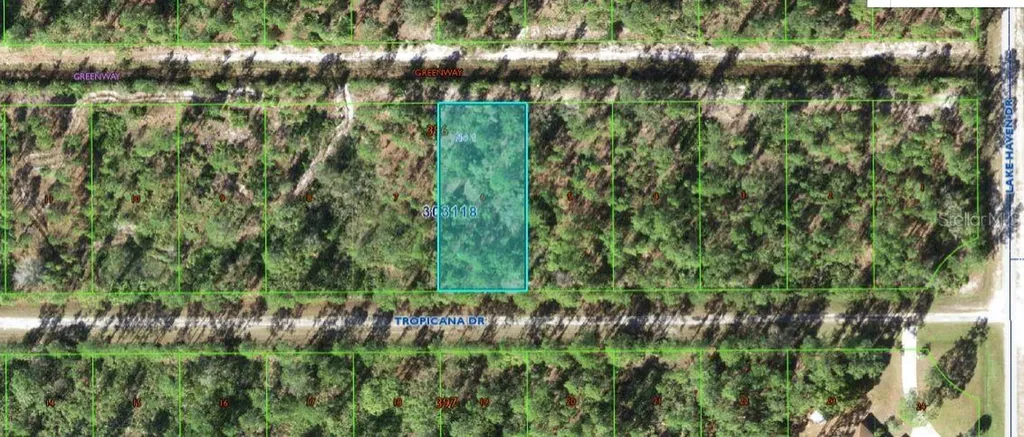 612 Tropicana Drive Indian Lake Estates FL 33855