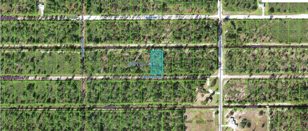612 Tropicana Drive Indian Lake Estates FL 33855