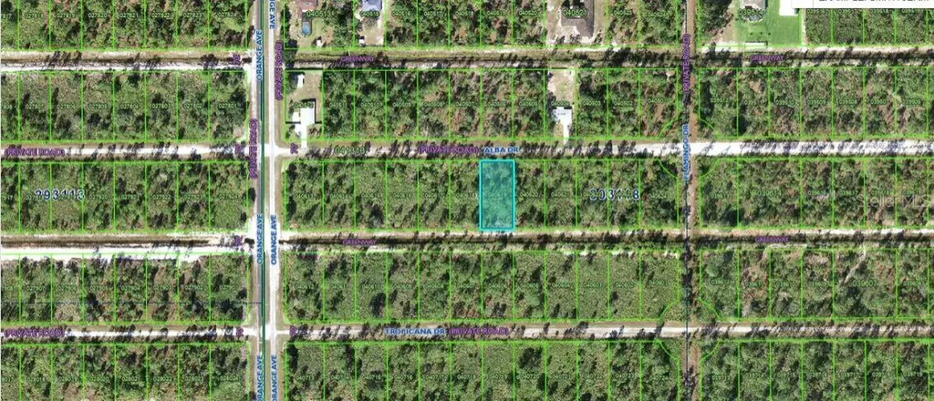 711 Alba Drive Indian Lake Estates FL 33855