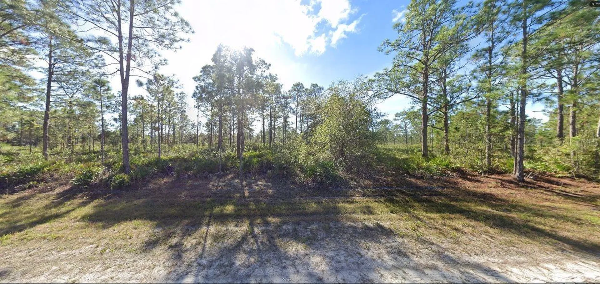 711 Alba Drive Indian Lake Estates FL 33855