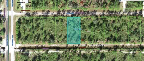 715 Alba Drive Indian Lake Estates FL 33855