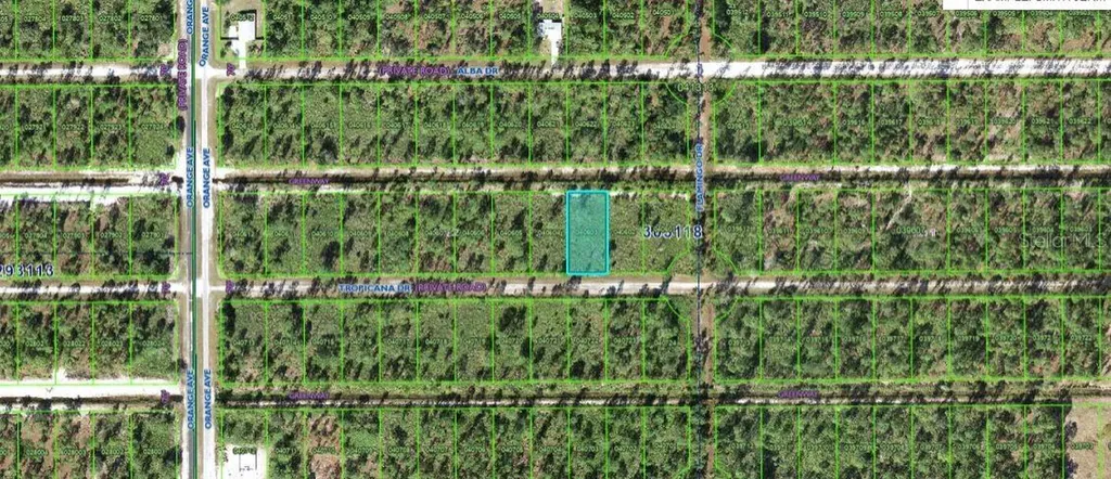 706 Tropicana Drive Indian Lake Estates FL 33855