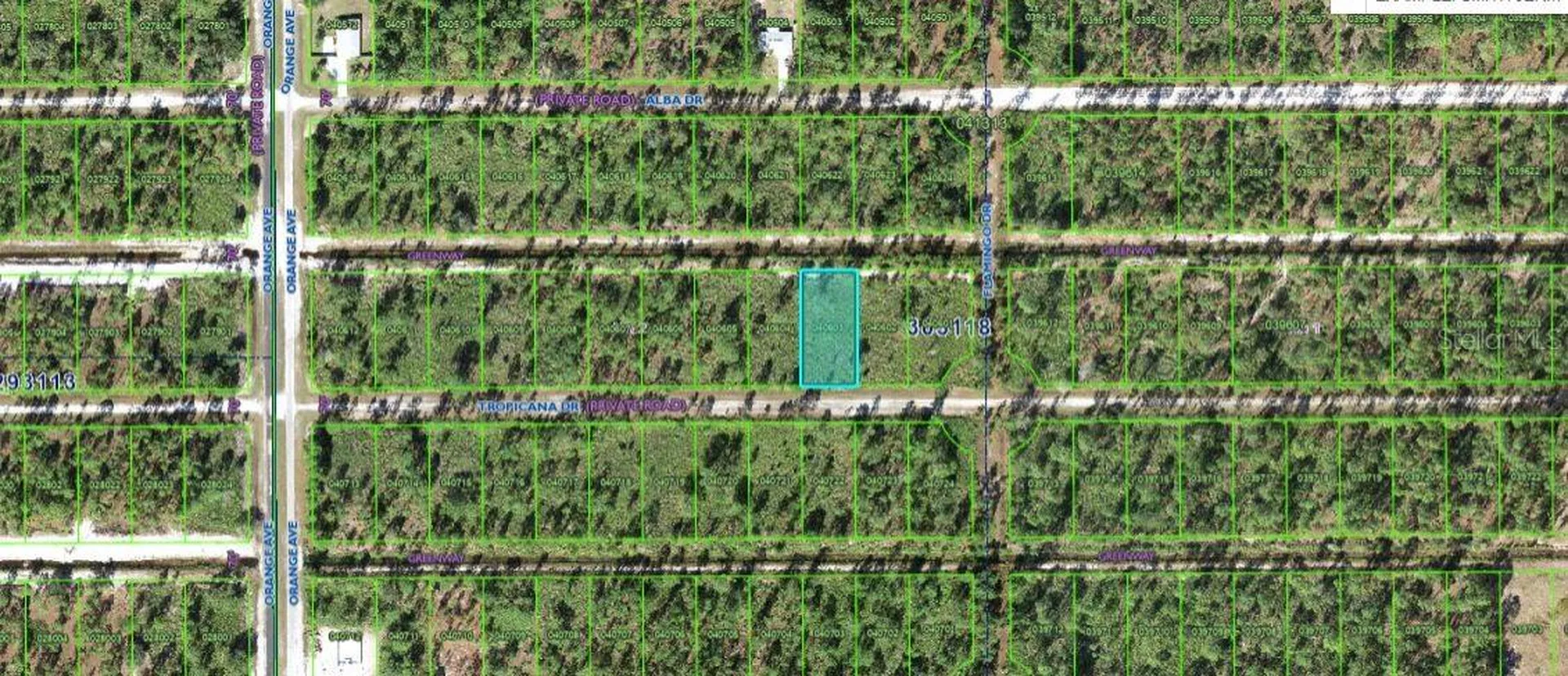 706 Tropicana Drive Indian Lake Estates FL 33855