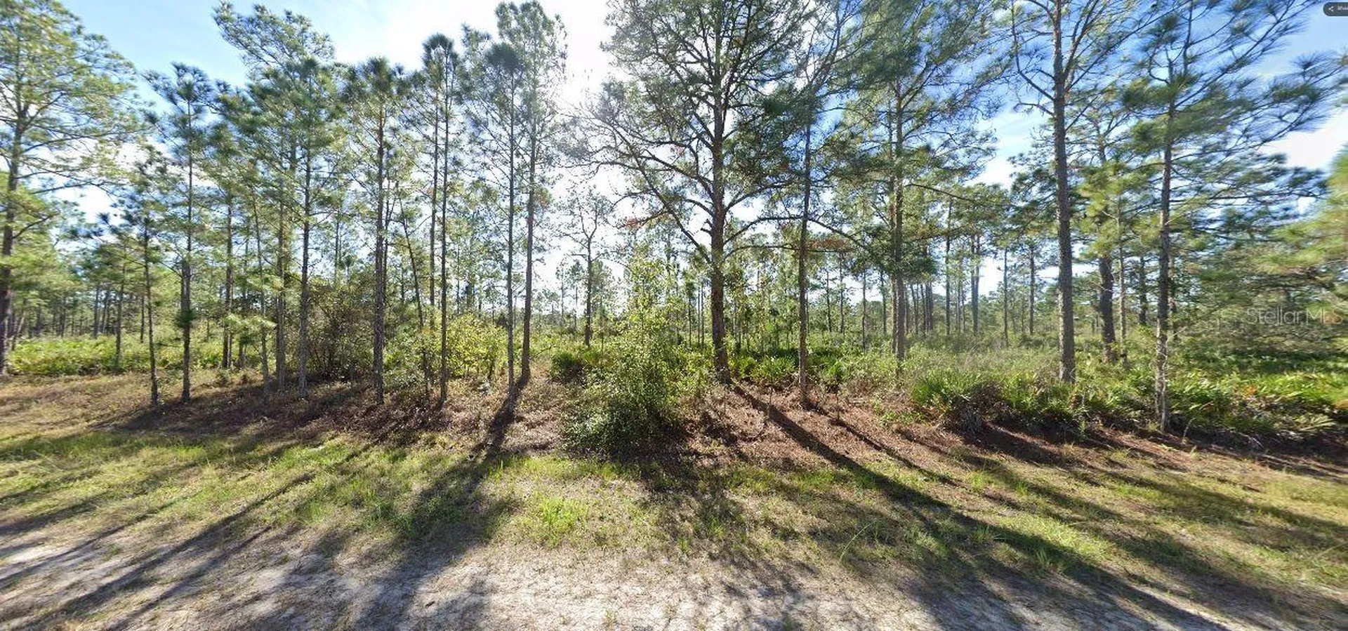 709 Alba Drive Indian Lake Estates FL 33855
