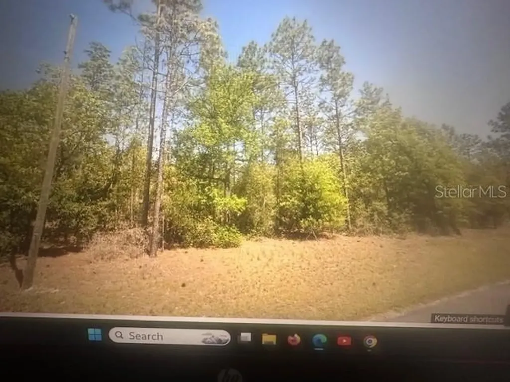 0 SW 207 Court Dunnellon FL 34431