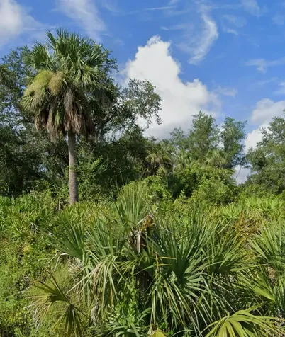 1226 Sulstone Drive Punta Gorda FL 33983