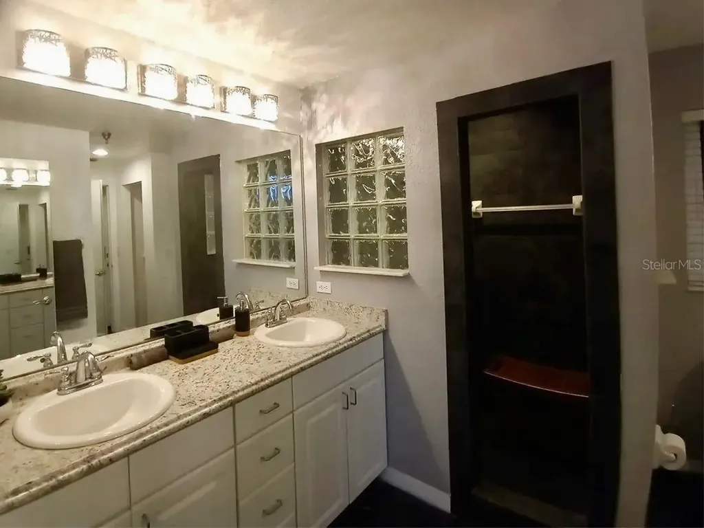 21103 Patio View Court Lutz FL 33558