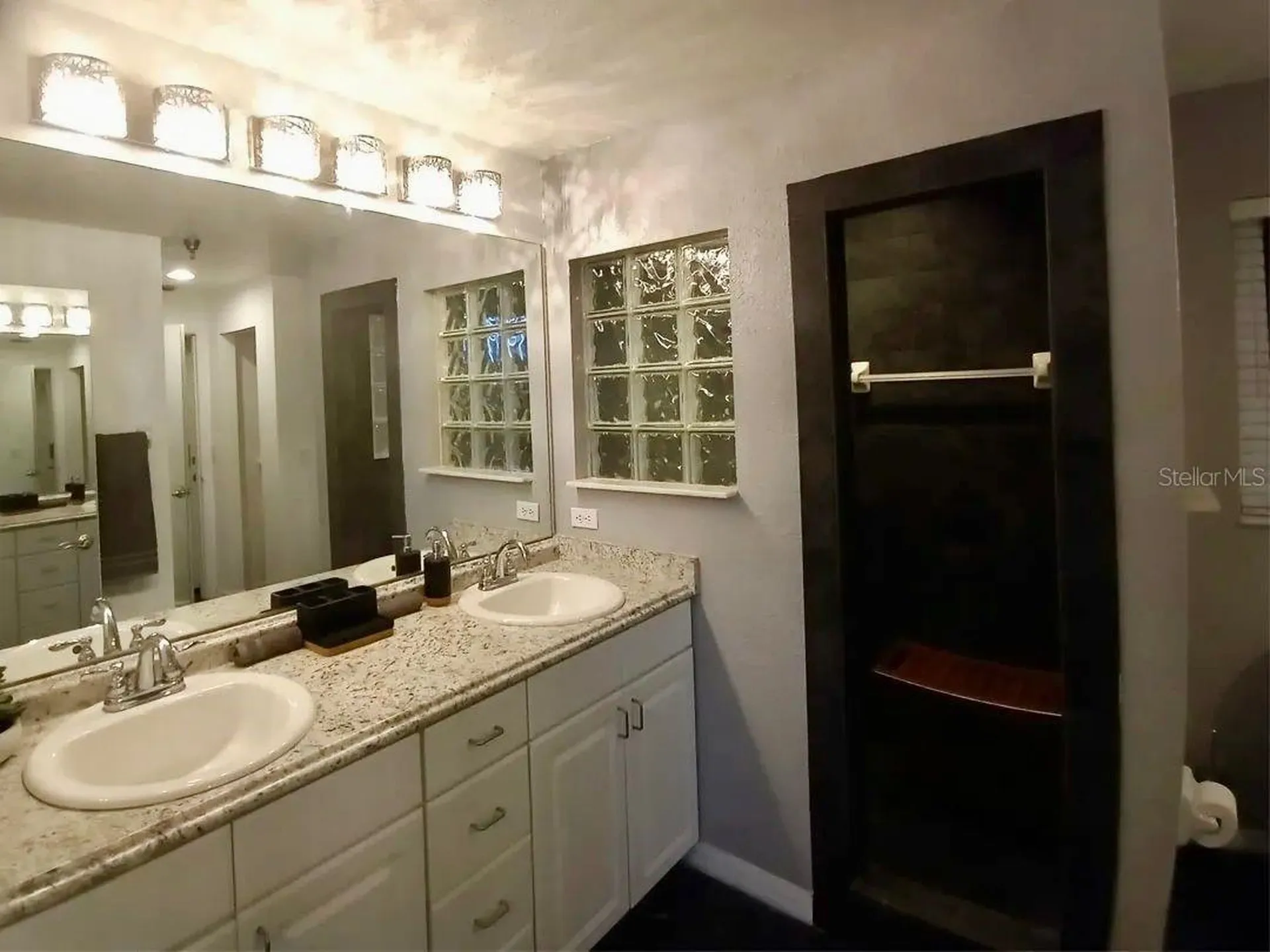 21103 Patio View Court Lutz FL 33558