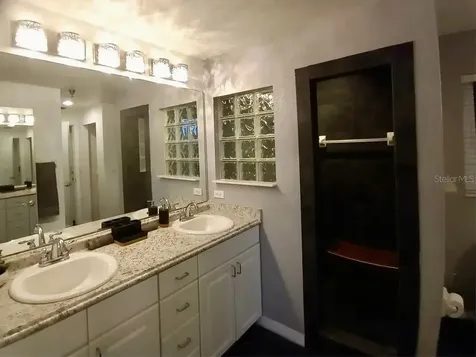 21103 Patio View Court Lutz FL 33558