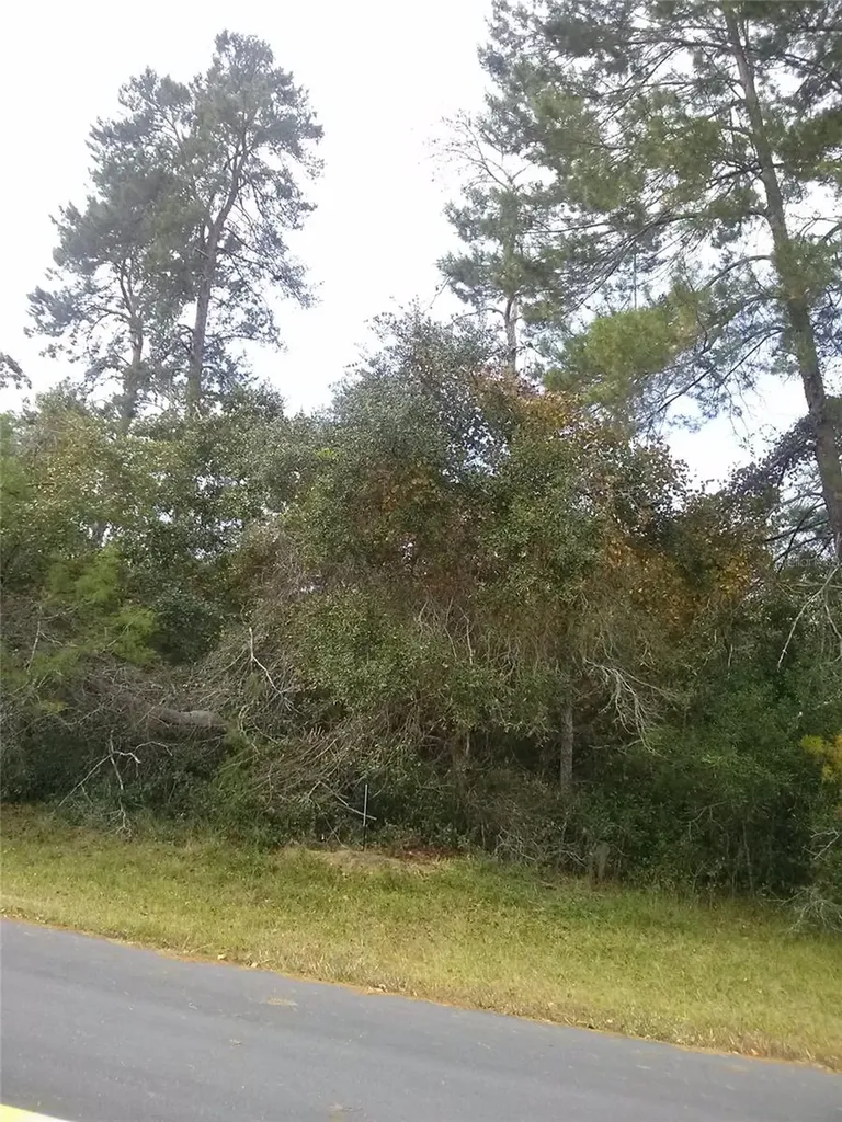 00 Marion Oaks Boulevard Ocala FL 34473