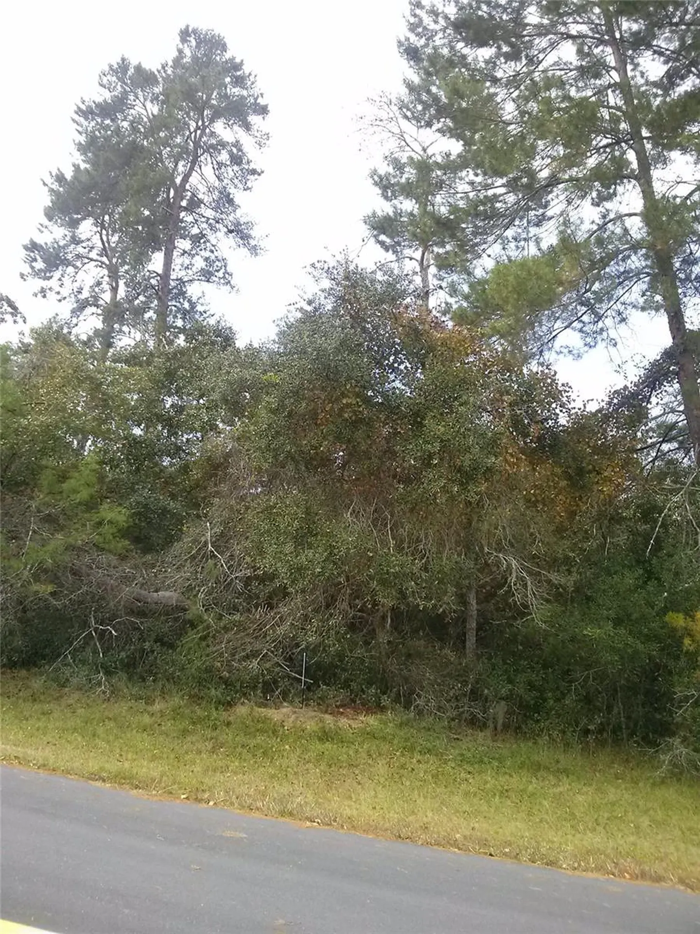 00 Marion Oaks Boulevard Ocala FL 34473