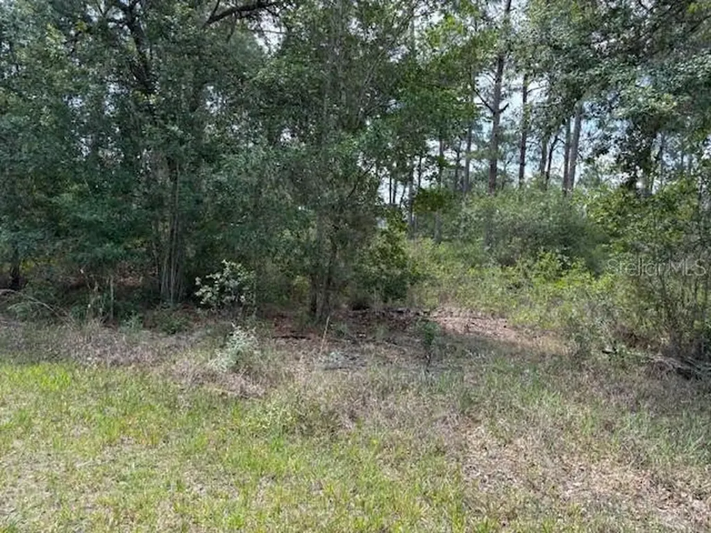 213 Plumosa Drive Indian Lake Estates FL 33855