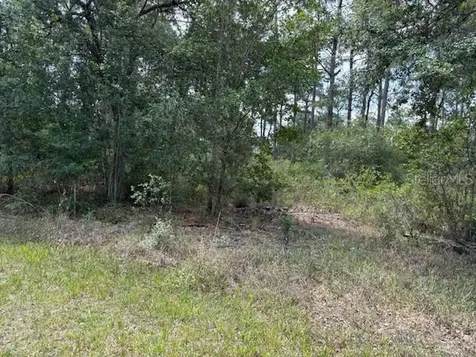 213 Plumosa Drive Indian Lake Estates FL 33855