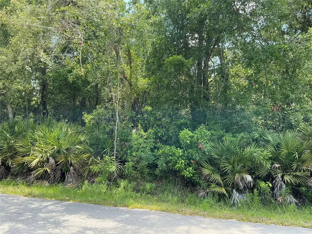 Lot 14 NW 118th Terrace Ocala FL 34482