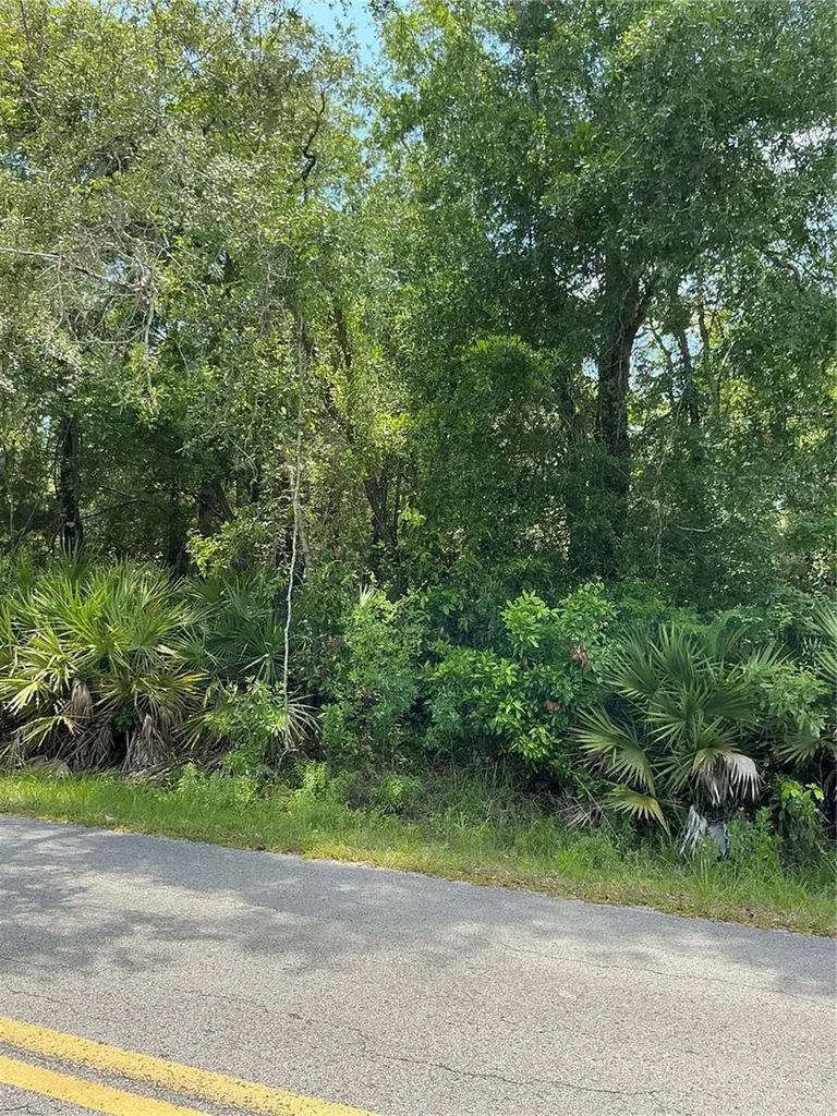 Lot 14 NW 118th Terrace Ocala FL 34482