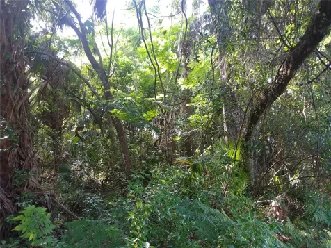 Geneva FL 32732