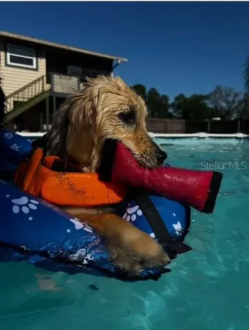 7705 Gardner Road Tampa FL 33625