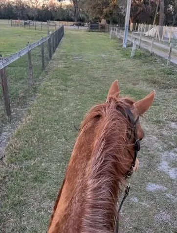 7705 Gardner Road Tampa FL 33625