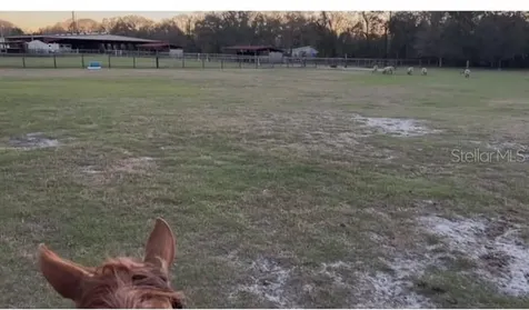 7705 Gardner Road Tampa FL 33625