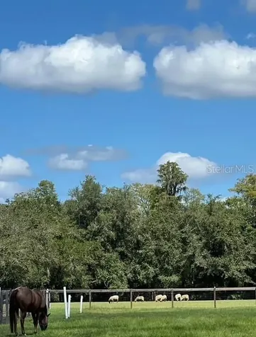 7705 Gardner Road Tampa FL 33625