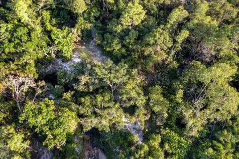 7705 Gardner Road Tampa FL 33625