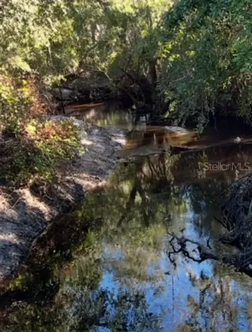 7705 Gardner Road Tampa FL 33625