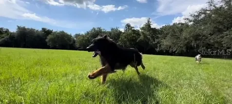 7705 Gardner Road Tampa FL 33625