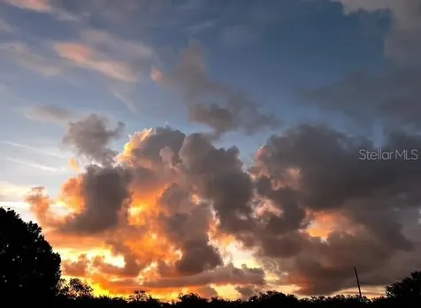 7705 Gardner Road Tampa FL 33625