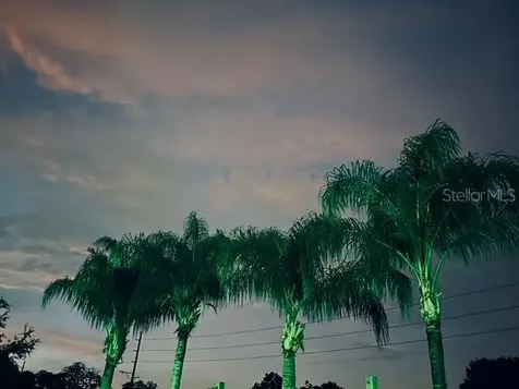 7705 Gardner Road Tampa FL 33625