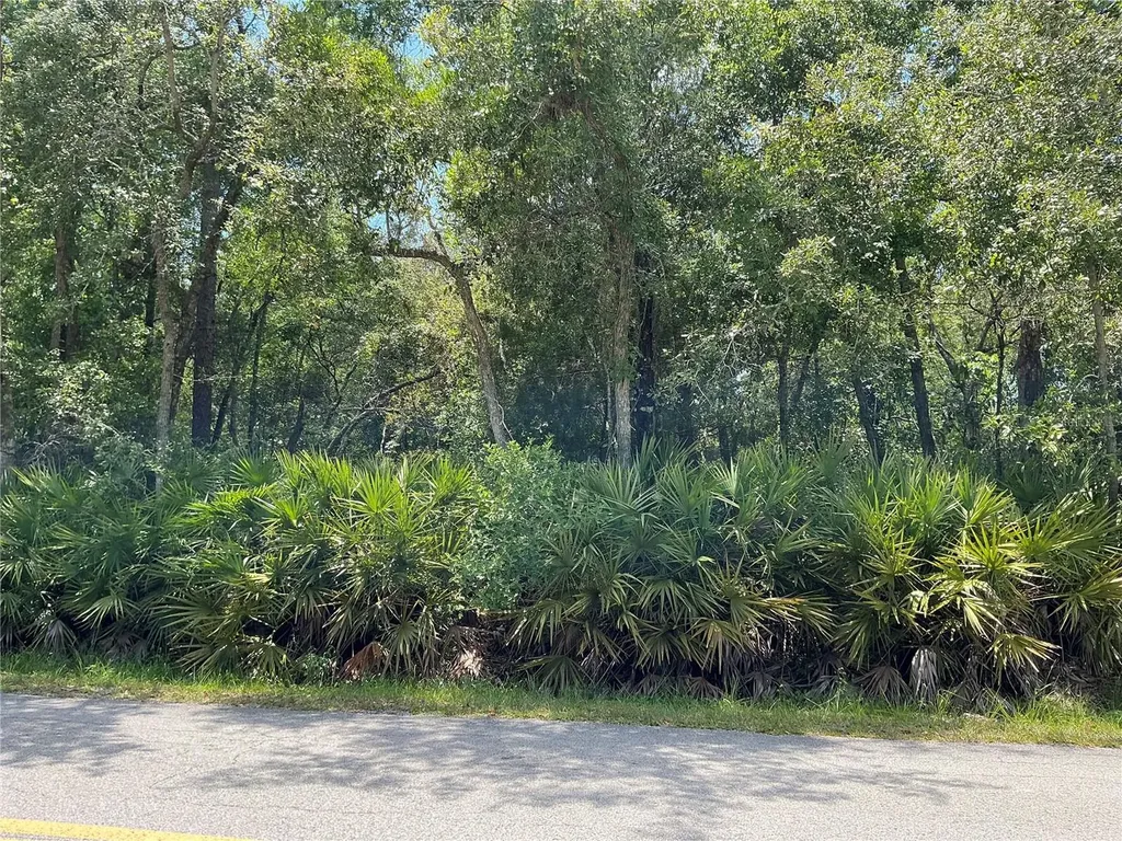 Lot 15 NW 118th Terrace Ocala FL 34482