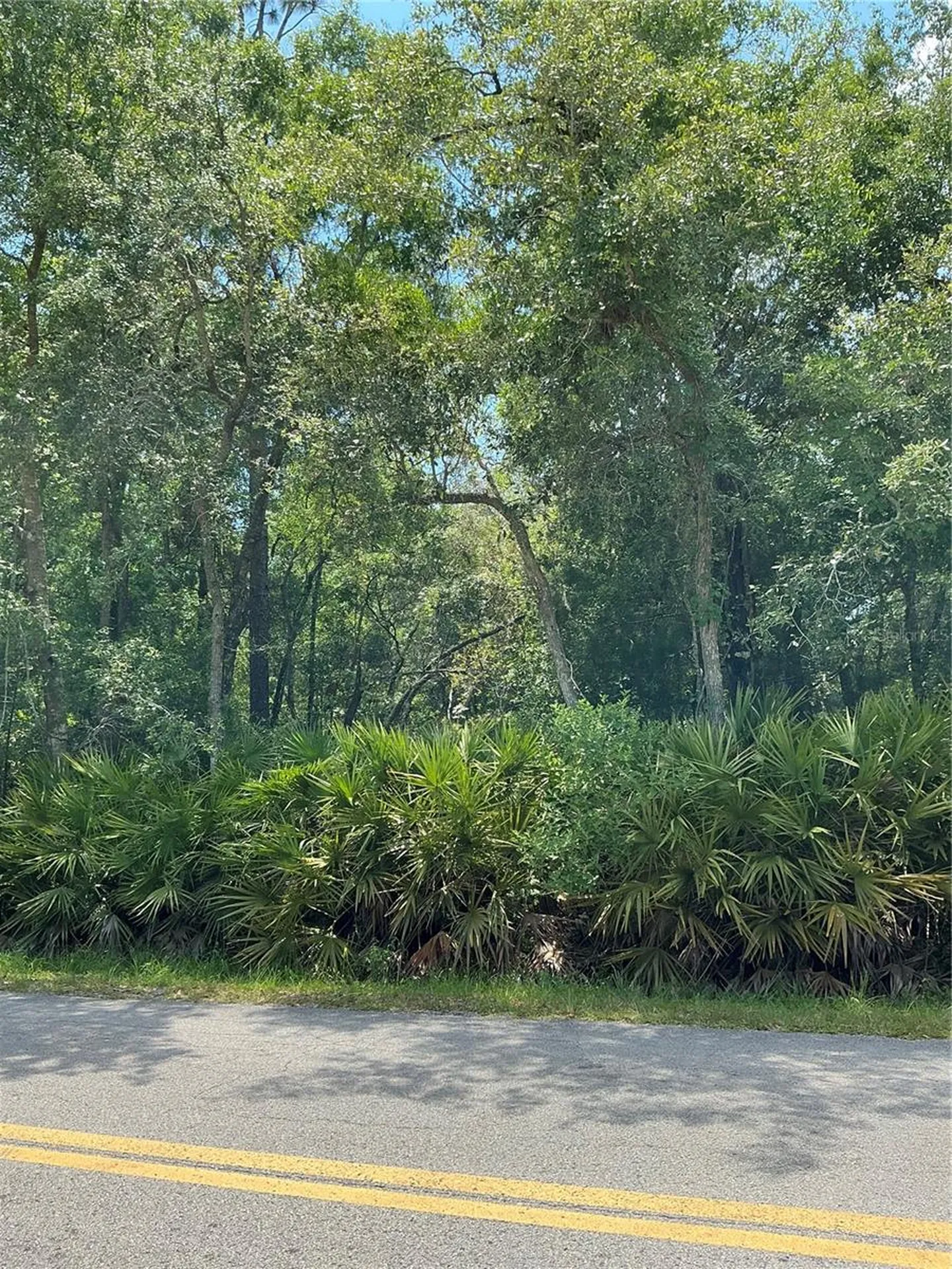 Lot 15 NW 118th Terrace Ocala FL 34482
