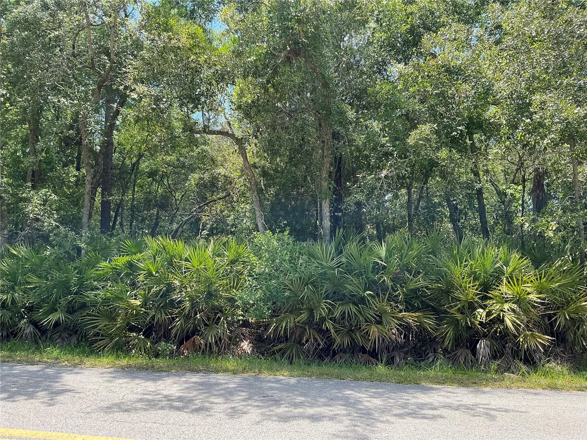Lot 15 NW 118th Terrace Ocala FL 34482