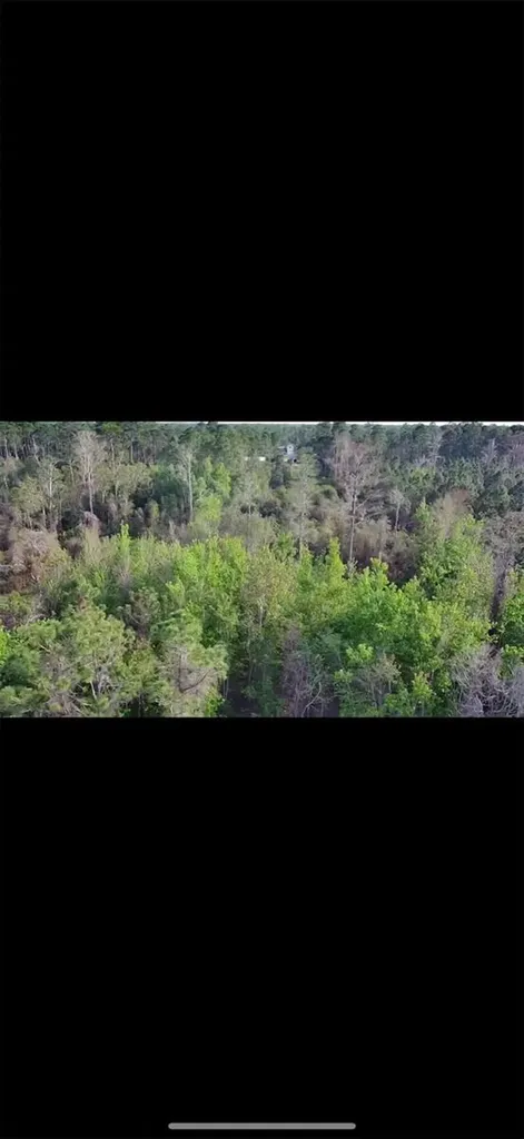 4150 Quail Nest Lane New Smyrna Beach FL 32168