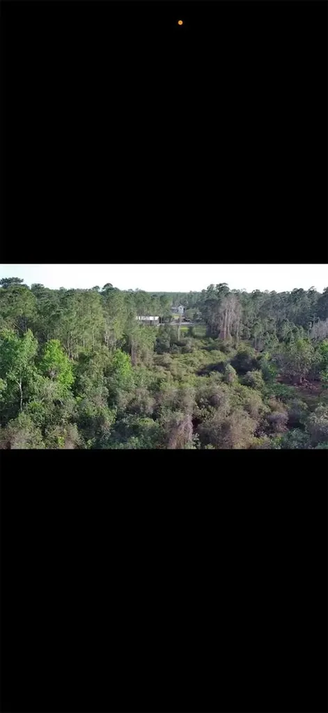 4150 Quail Nest Lane New Smyrna Beach FL 32168