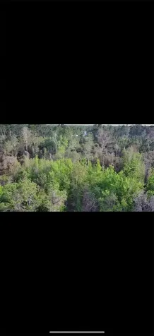 4150 Quail Nest Lane New Smyrna Beach FL 32168