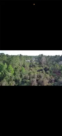 4150 Quail Nest Lane New Smyrna Beach FL 32168