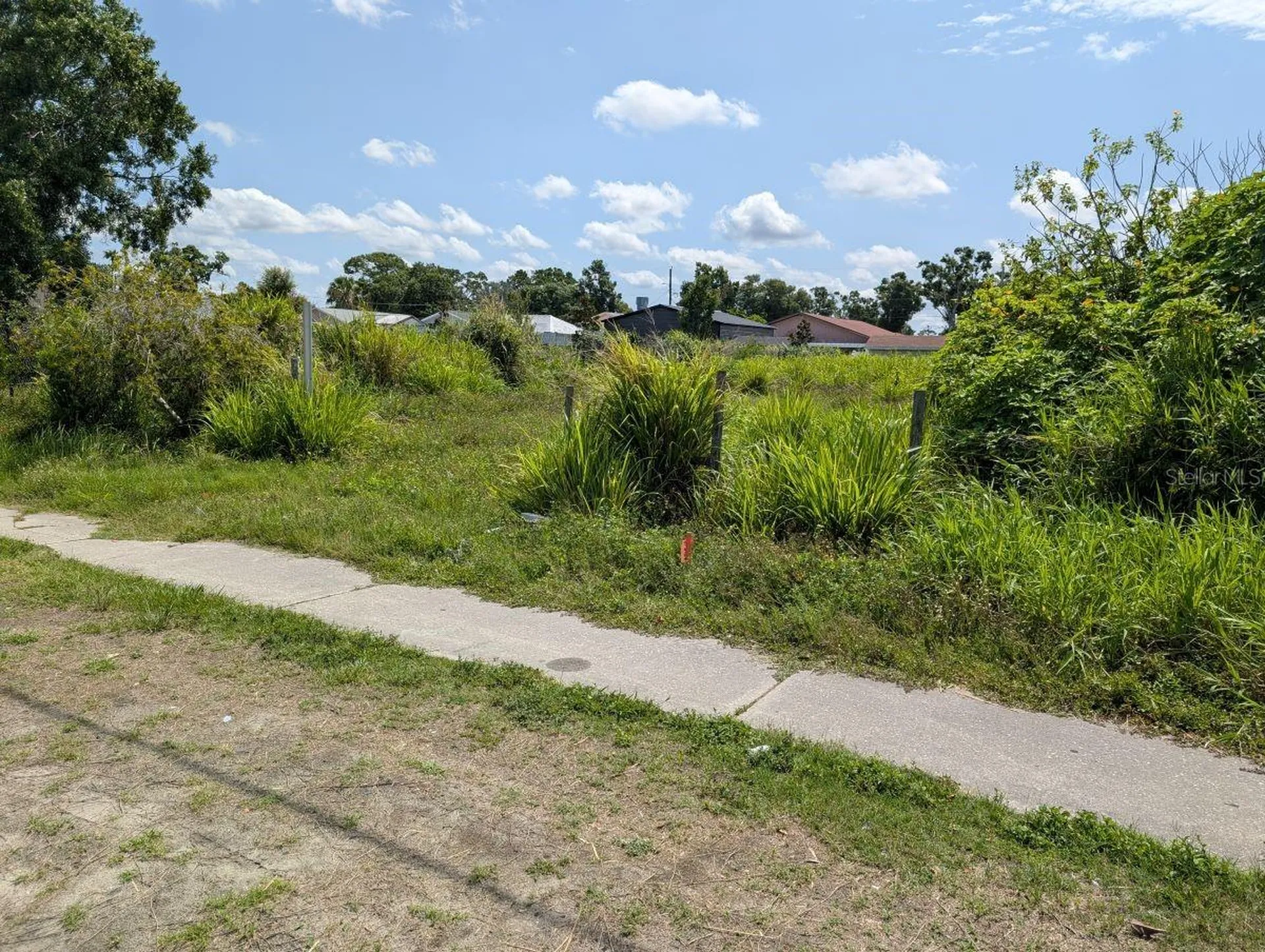 7007 N Manhattan Avenue Tampa FL 33614